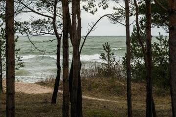Фото номера Дом с 3 спальнями Дома для отпуска Jūras Krasti Romantika г. Jūrmalciems 67
